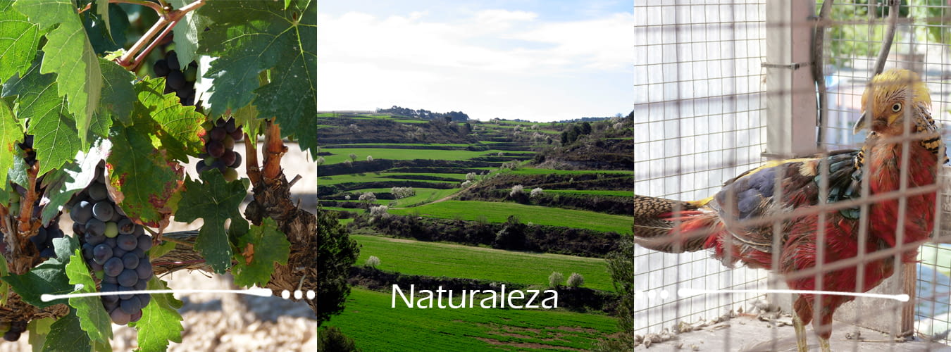 naturalesa_castella